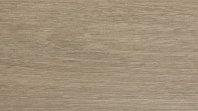 Dub Sheffield - svetlý