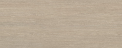 Dub Sheffield - svetlý