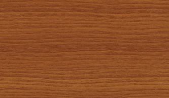 Borovica Douglaska - tieňovaná